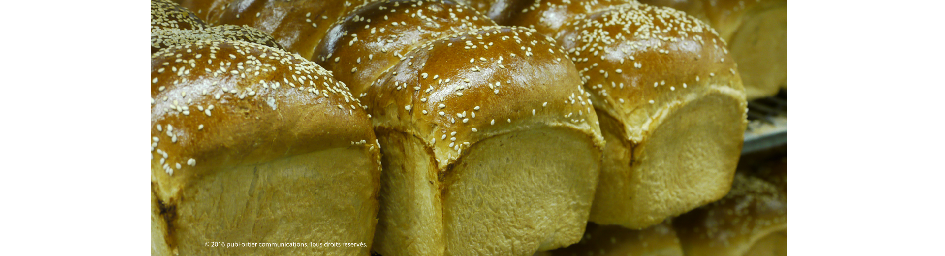 Montreal Kosher Bakery